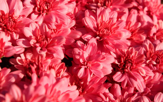 955961 (a): :2880x1800
